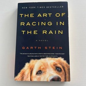 The Art of Racing in the Rain by Garth Stein